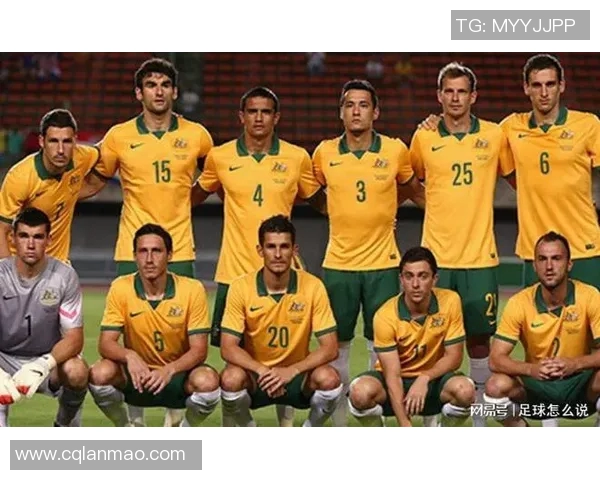 足球明星退赛规则最新解读及对赛事影响分析