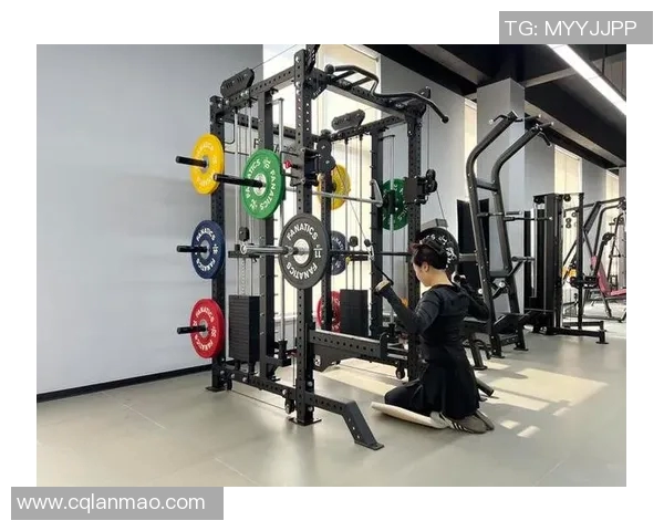 健身器材价格揭秘如何选择适合自己的器材与预算建议