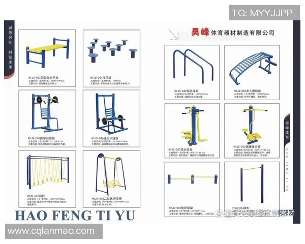 常见体育健身器材介绍及其名称解析助你选择合适的健身工具