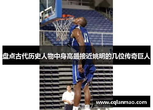 盘点古代历史人物中身高最接近姚明的几位传奇巨人