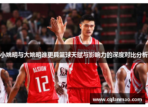 小姚明与大姚明谁更具篮球天赋与影响力的深度对比分析