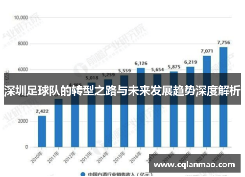 深圳足球队的转型之路与未来发展趋势深度解析