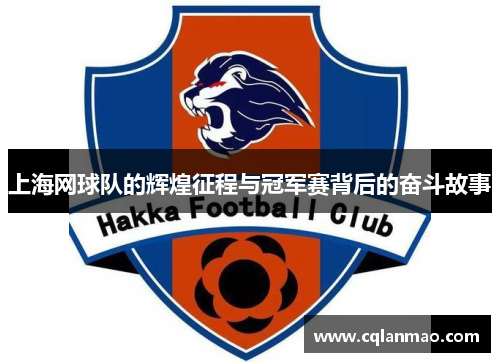 上海网球队的辉煌征程与冠军赛背后的奋斗故事