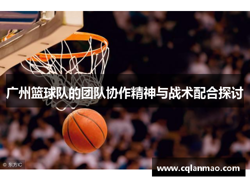 广州篮球队的团队协作精神与战术配合探讨