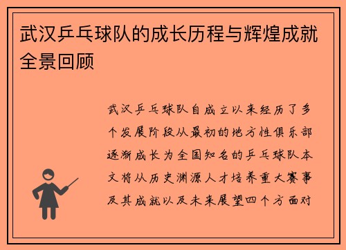 武汉乒乓球队的成长历程与辉煌成就全景回顾
