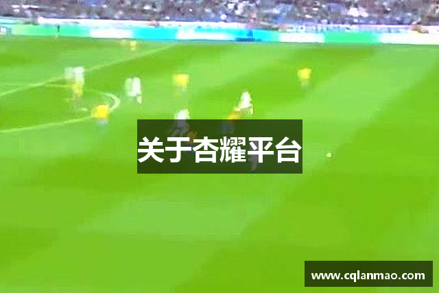 关于杏耀平台